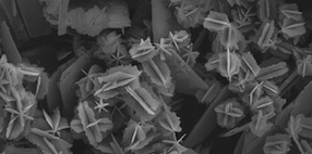 Wikipedia Commons: Nanoparticles of vanadium oxide